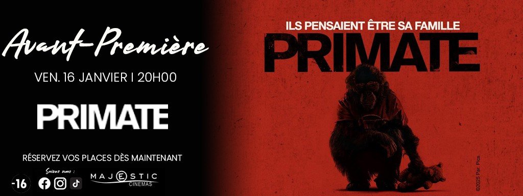 actualité Primate