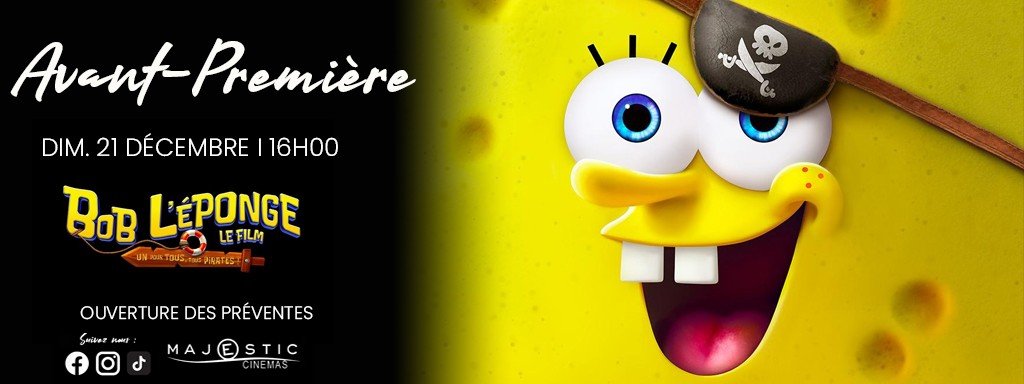 actualité BOB l'éponge