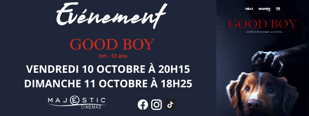 actualité good boy